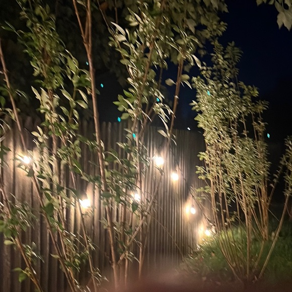 Meet your Posher, Patrick - Picture 1 of 1